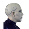 SL_ventress_tcw-bald SL_ventress_tcw-bald