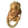 DZ_Bib_mask
