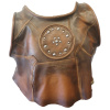 DZ_gammorean_tunic