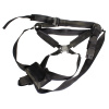 DZ_GDGS_Harness