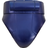 Posterior