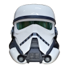 PT_helmet