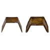 PazV_Ankle PazV_Ankle