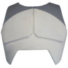 232px-Neyo_Animated_Chest 232px-Neyo_Animated_Chest