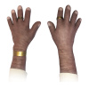 DZ_HOIE_Hands