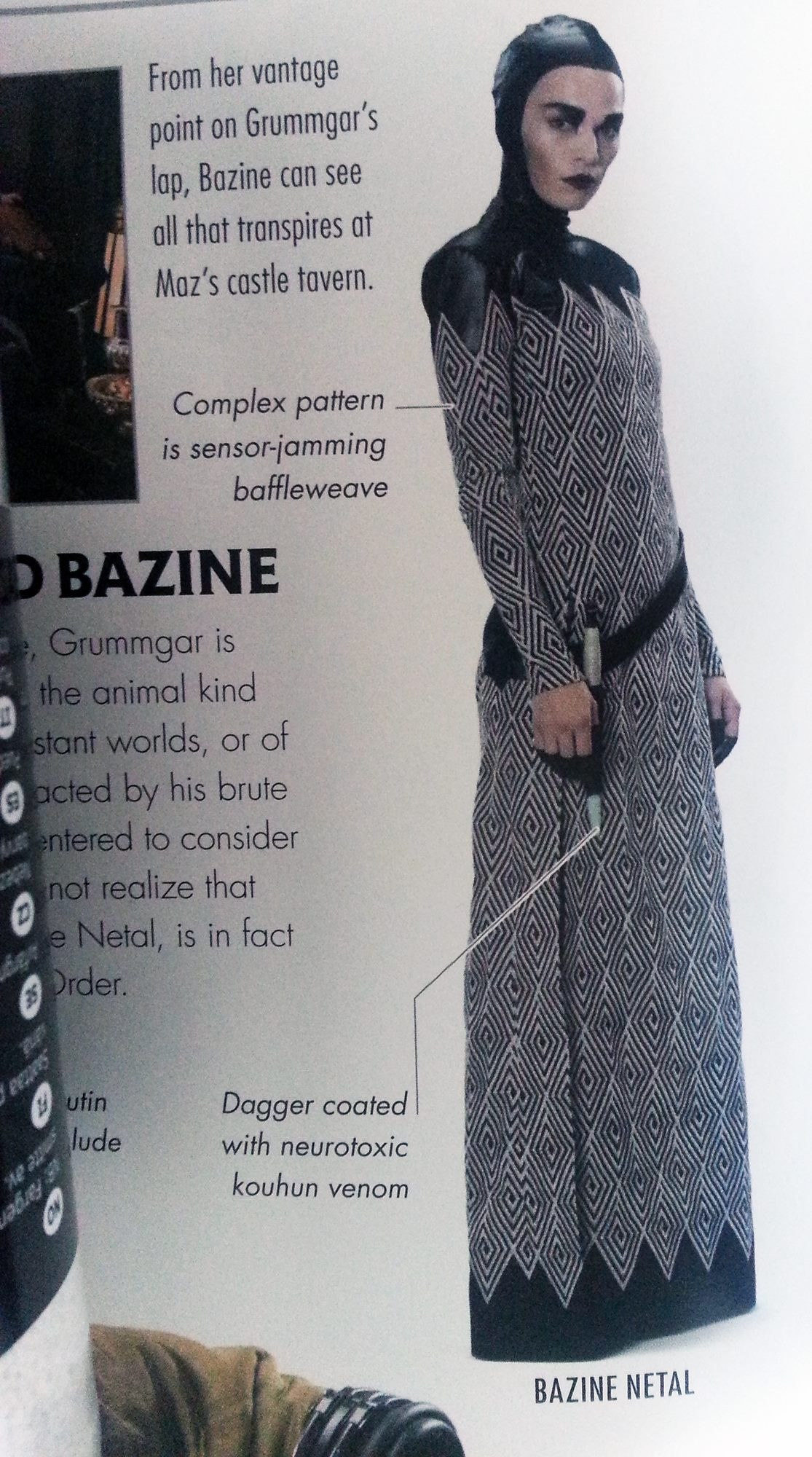 bazinebook