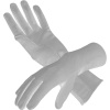 Rex_Cold_Gloves