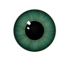 225px-Green_contact_lens