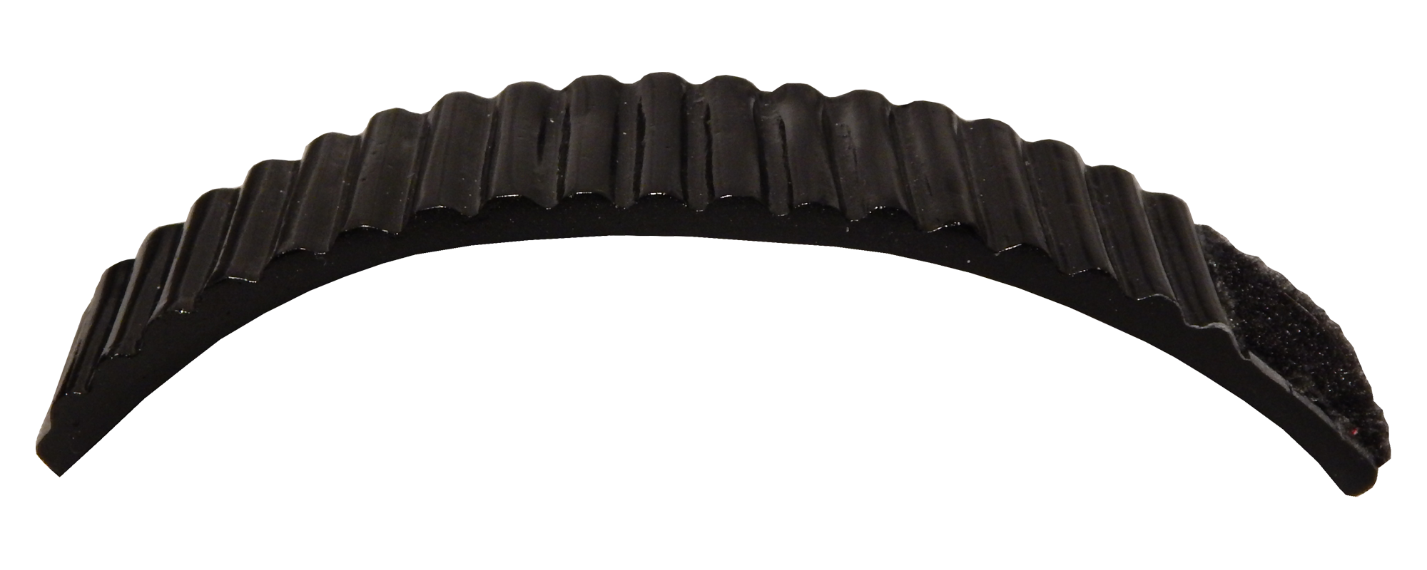 TX_DelMeeko_Shoulder-Bridge