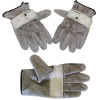 RT_Gloves_CRL_Main