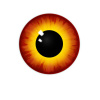 SL_anakin_eye