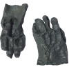 DZ_Klaatu_Hands