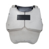 Rex_P1_Chest