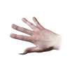 DZ_Dryden_Vos_CD_Claw