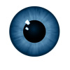 DS_baylan_contact_lenses