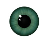 Green_contact_lens