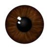 Darth_zash_eye_color Darth_zash_eye_color