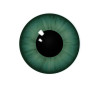 Green_contact_lens