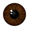 Darth_zash_eye_color