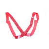 Tx_GeneralWeir_bandolier