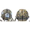Head