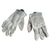 ARCEchoR_Gloves