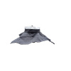 WolffeDesertNeckseal