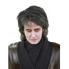 SL_anakin_hair