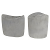 300px-Biceps_Phase2_Animated