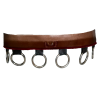 Revan_kidney_plate