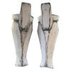 CBDenal_Shins