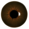 Erso_eyes
