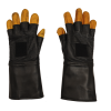 Din1_Gloves