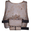 TX_EVO_Chest