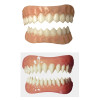 Sinya_Teeth Sinya_Teeth