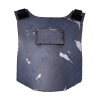 PazV_Back1