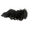 BlackKFeet