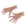 SL_prescarPalp_hand