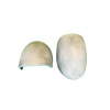 ATTEP_Shoulders ATTEP_Shoulders
