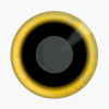 Sinya_Eyes Sinya_Eyes