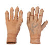 CRL_Hands