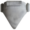 Clone_TC_Comet_Posterior Clone_TC_Comet_Posterior