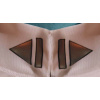 R_ThrawnCollarRank