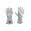 AT-AT_Driver_SWR_Gloves
