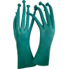 ANHGreedo_Hands