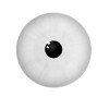 Concept_Ventress_eye Concept_Ventress_eye
