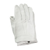 DZ_CBPD_Gloves