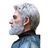 DS_baylan_skoll_facial_hair