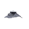 300px-WolffeDesertNeckseal 300px-WolffeDesertNeckseal