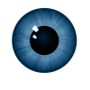 Krennikcontact